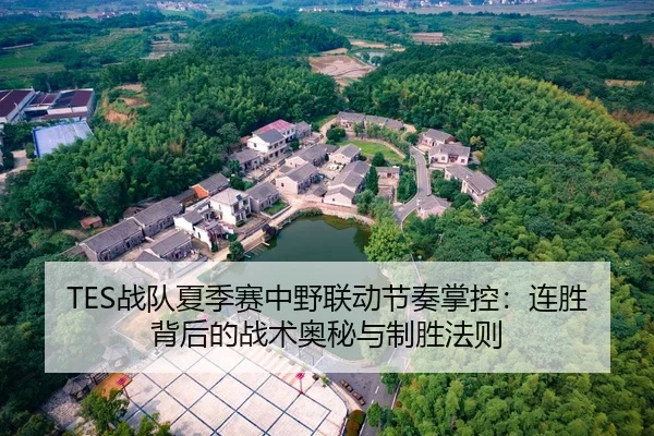 TES战队夏季赛中野联动节奏掌控：连胜背后的战术奥秘与制胜法则