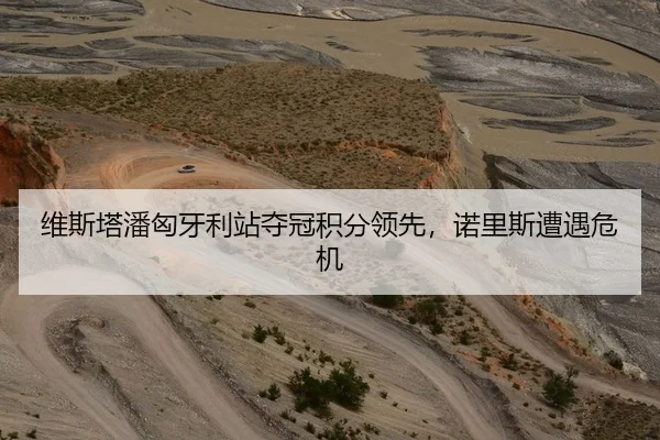 维斯塔潘匈牙利站夺冠积分领先，诺里斯遭遇危机