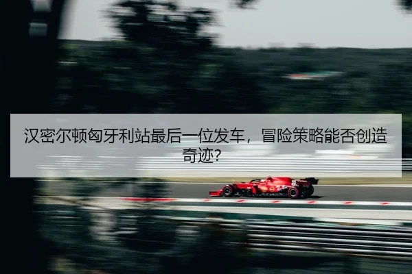 han-mi-er-dun-xiong-ya-li-zhan-zui-hou-yi-wei-fa-che-mao-xian-ce-lve-neng-fou-chuang-zao-qi-ji-2-614.jpg