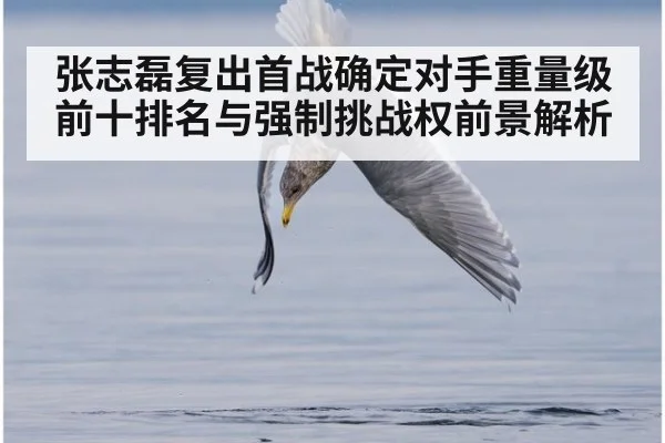 张志磊复出首战确定对手重量级前十排名与强制挑战权前景解析